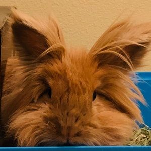 Meet your Posher, Laura